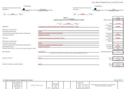 Форма 0510448: условия использования и подробный обзор