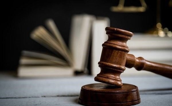 Подготовка технико-экономических обоснований для лицензионных заявок