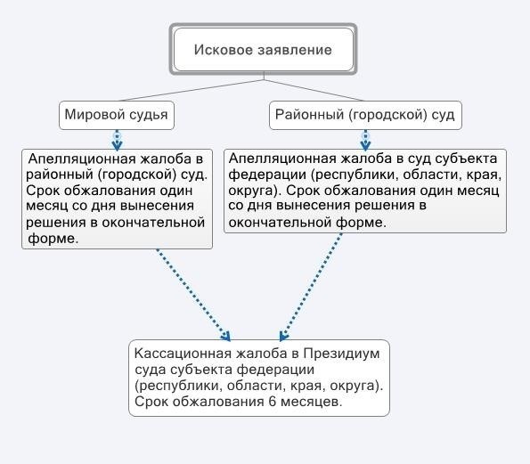 Юридические последствия: Что происходит после подачи жалобы