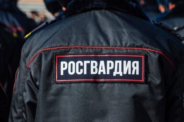 Политика