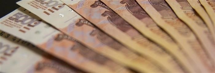 Инструкции по составлению петиции