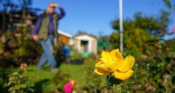 Подача заявления: Варианты подачи заявления онлайн и лично