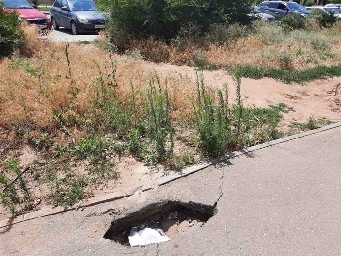 Кто должен косить за забором в коттедже или в деревне? Давайте изучим законы