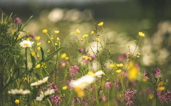 5 способов продажи земельного участка - руководство по успешной сделке