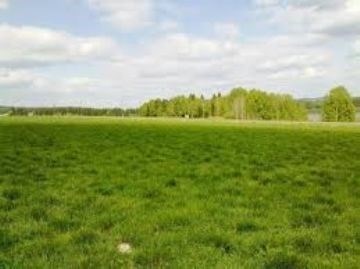 Как арендовать землю у государства для ведения сельского хозяйства