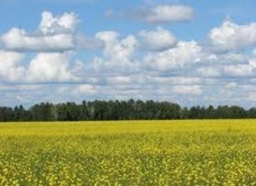 Какие учреждения отвечают за аренду сельскохозяйственных земель?
