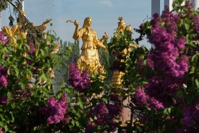 Роль военнослужащего в процессе перевода