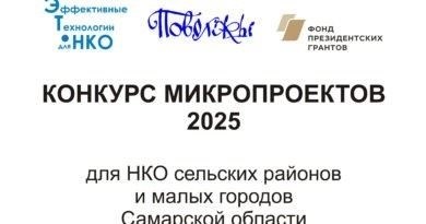 Может ли НКО заключить срочный трудовой договор с сотрудником на период действия договора о предоставлении субсидии из регионального бюджета?