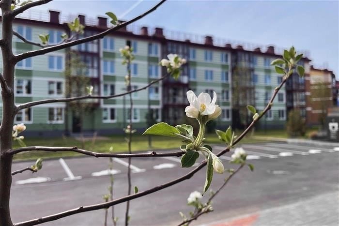 В Тамбовской области молодая женщина съехала с дороги и перевернулась